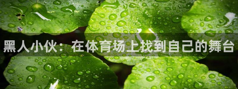 球客岛