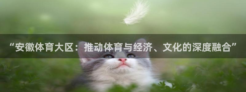 球客岛