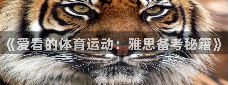 球客岛