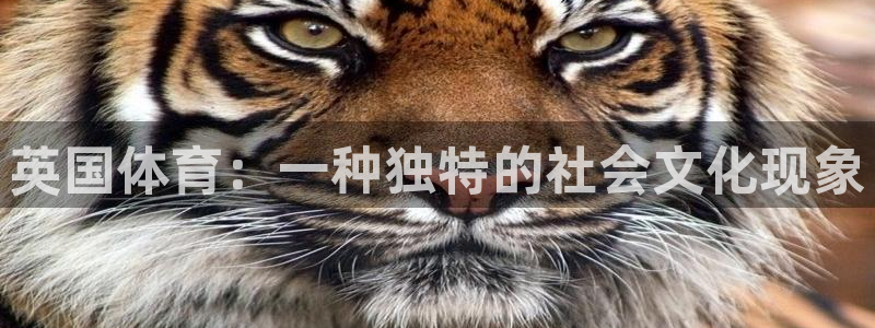 球客岛：英国体育：一种独特的社会文化现象