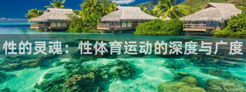 球客岛：性的灵魂：性体育运动的深度与广度