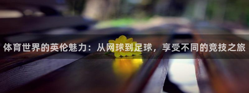 球客岛：体育世界的英伦魅力：从网球到足球，享受不同的竞技之旅