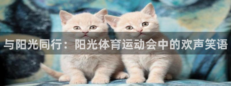 球客岛：与阳光同行：阳光体育运动会中的欢声笑语