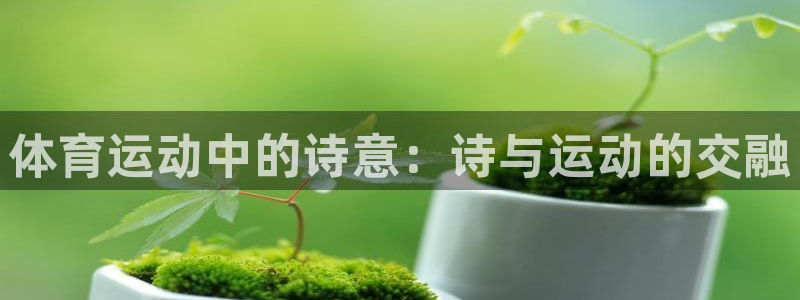 球客岛