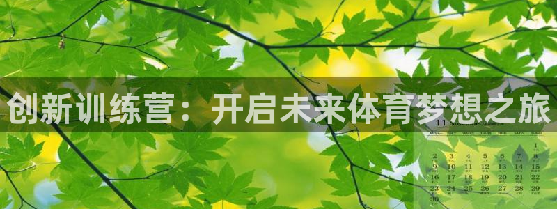 球客岛：创新训练营：开启未来体育梦想之旅