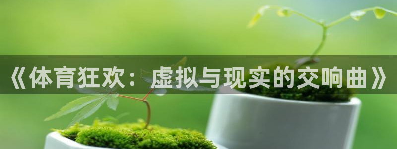 球客岛：《体育狂欢：虚拟与现实的交响曲》