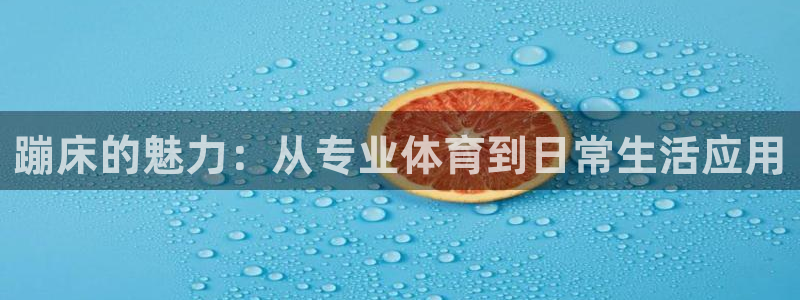 球客岛：蹦床的魅力：从专业体育到日常生活应用